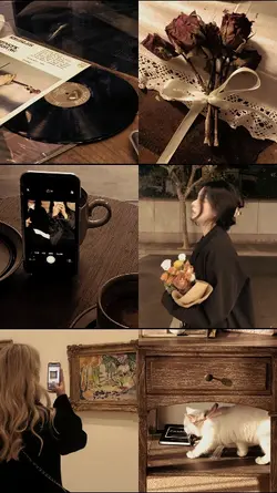 6 pics brown 