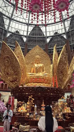 1 ảnh + màu