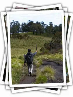 Nature Collage