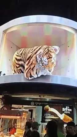 3D tiger show
