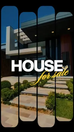 Real Estate