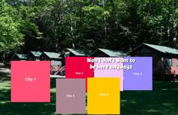 Summer camp
