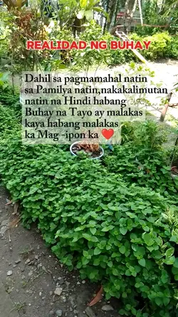 Realidad Ng buhay