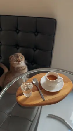 ☕️🤍