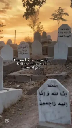 Yeni şablon 
