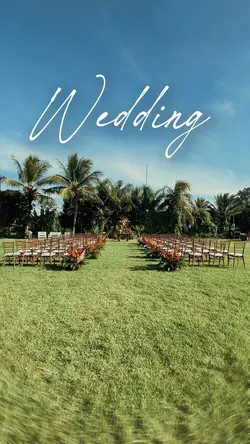 Wedding