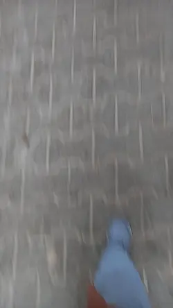 BIERZ