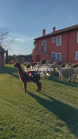 today stories