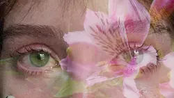 Aesthetic