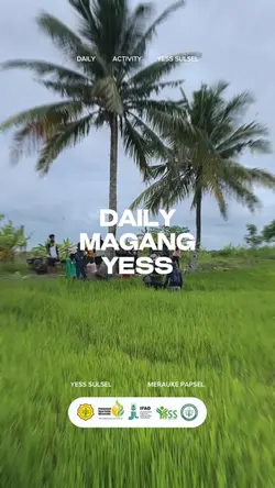 Daily magang