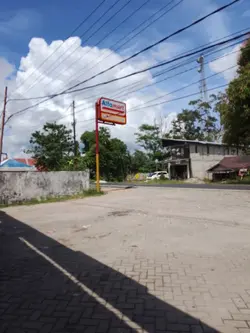 teh hijau