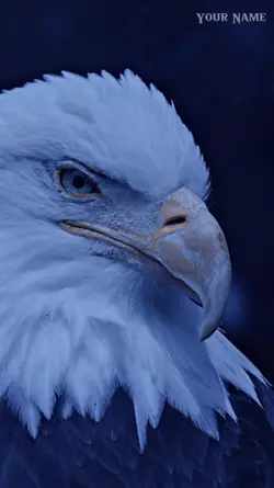 4K Eagle 