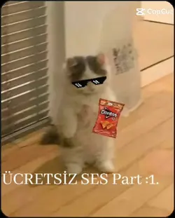 ücretsiz ses 