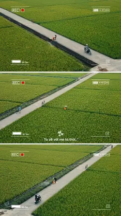 Ta về với mẹ ta thôi