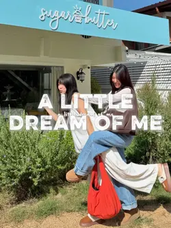[15]ALITTLEDREAMOFME