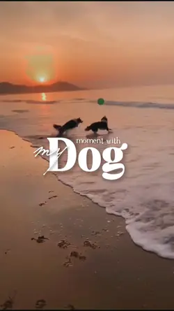 moment with my dog