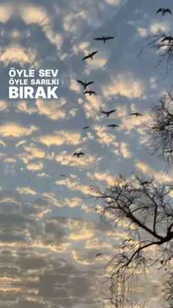 öyle sev öyle sarlki