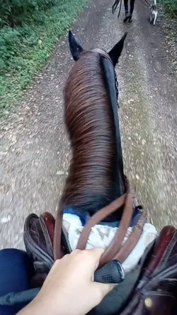 Laissez moi vivre 