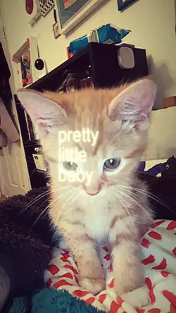 pretty little baby 