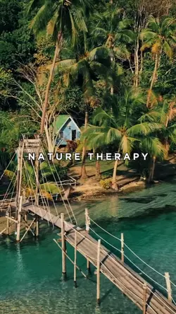 Nature Therapy
