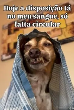 Disposição 