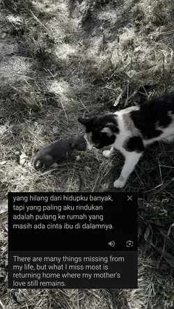 kata kata