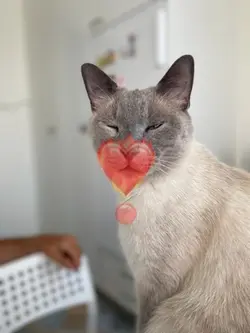 I love you 