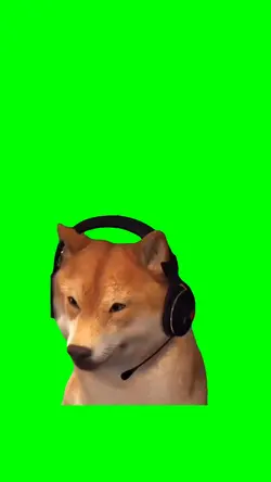 DANCING DOG MEME