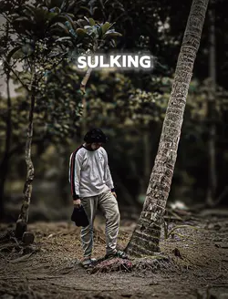 english song attitud
