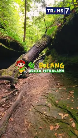 sibolang 5 klip