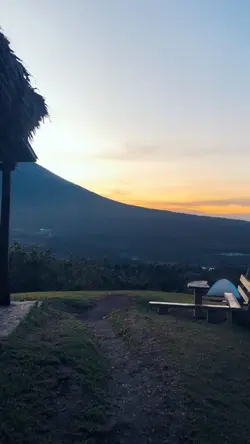 Reggae nature 
