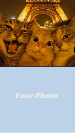 3friends 