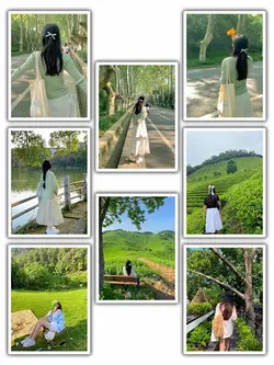 8Pic Aesthetic Frame