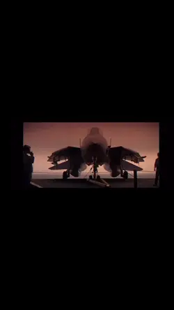 F-14 edit🦅🦅