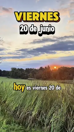 Viernes 20 de junio