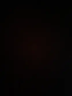 引退します