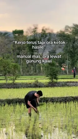"Kerjo terus tapi or