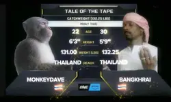 มวยOne Championship 