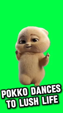 POKKO LUSH LIFE MEME