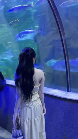 Slow motion