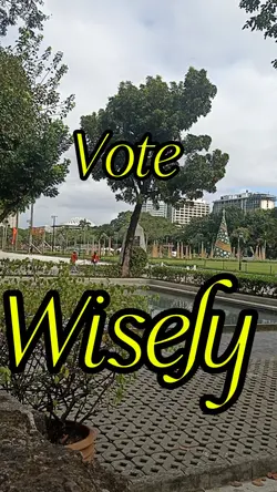 vote wisely 
