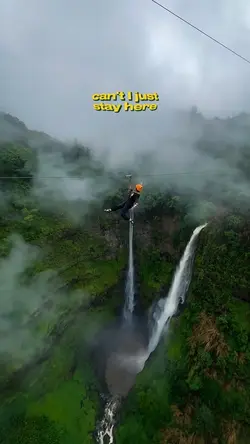 Flying fox