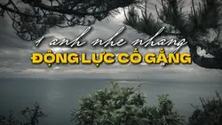 Động lực ảnh ngang