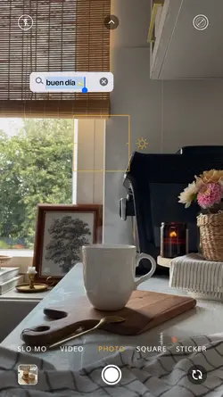 Story: camera grid 