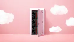 PINK DOOR TEMPLATE