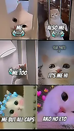 tibok