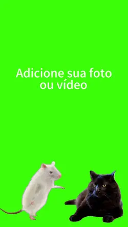 Gato e rato.