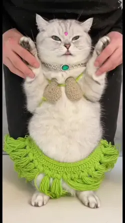 DancingCat