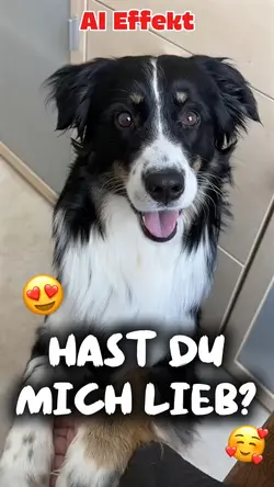Hund spricht süß Ki