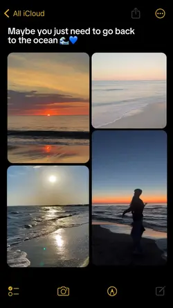 go back to the ocean
